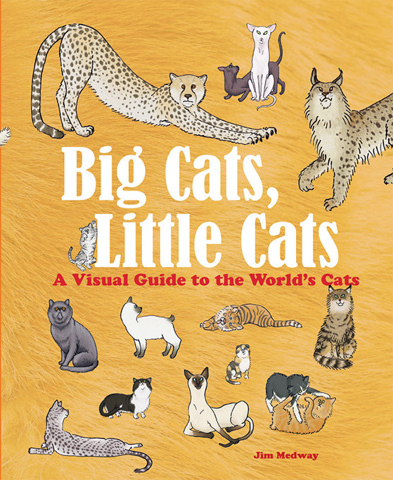 Big Cats, Little Cats — Jim Medway